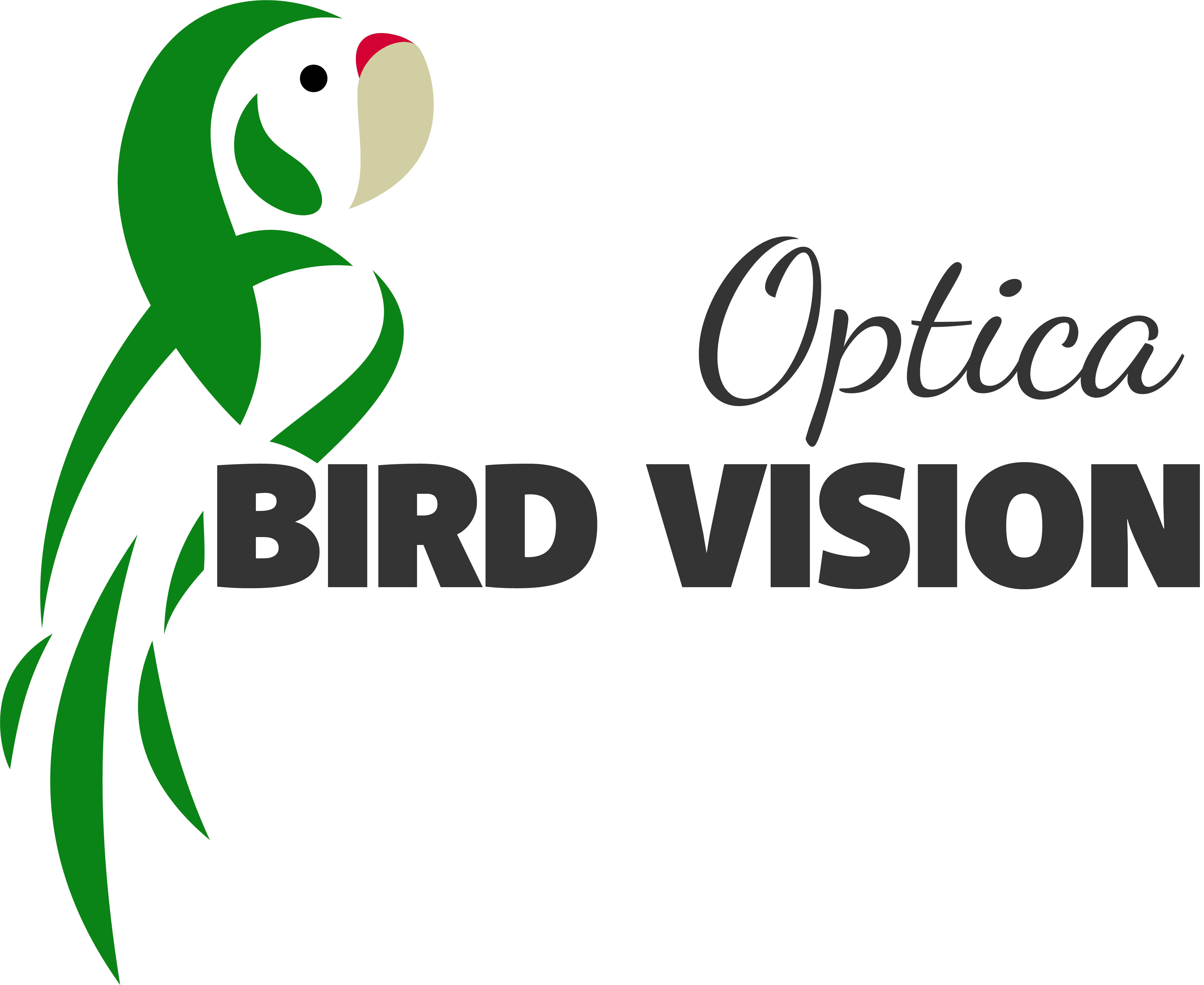 logo optica bird vision
